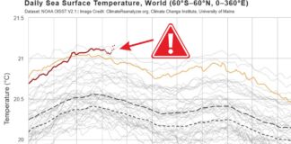 Oceani surriscaldati: la “febbre” del 2026 traccia rotte climatiche inesplorate